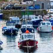 Many small fishing boats in a harbour at dawn.